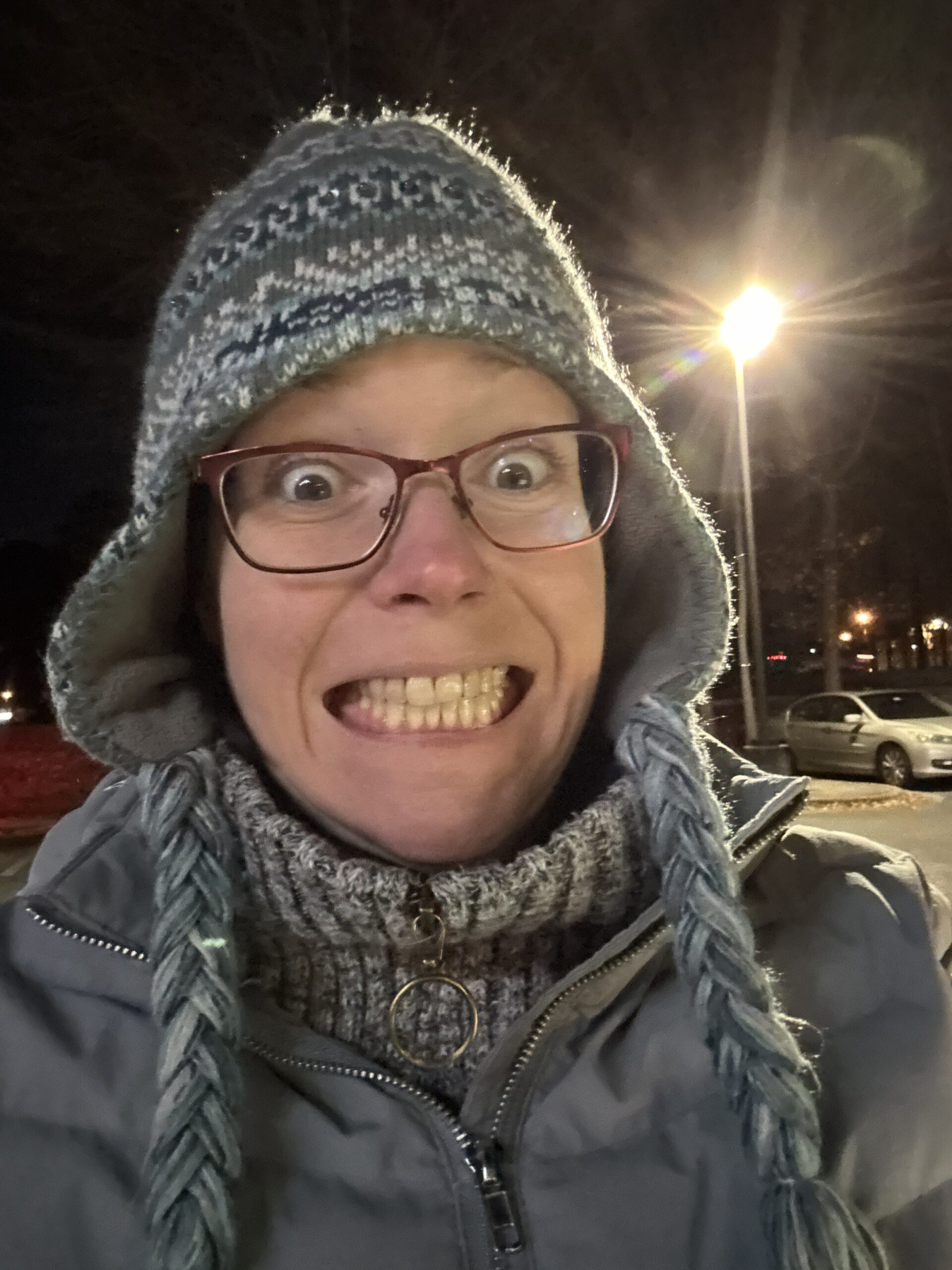 D2DDec12025FrozenCat