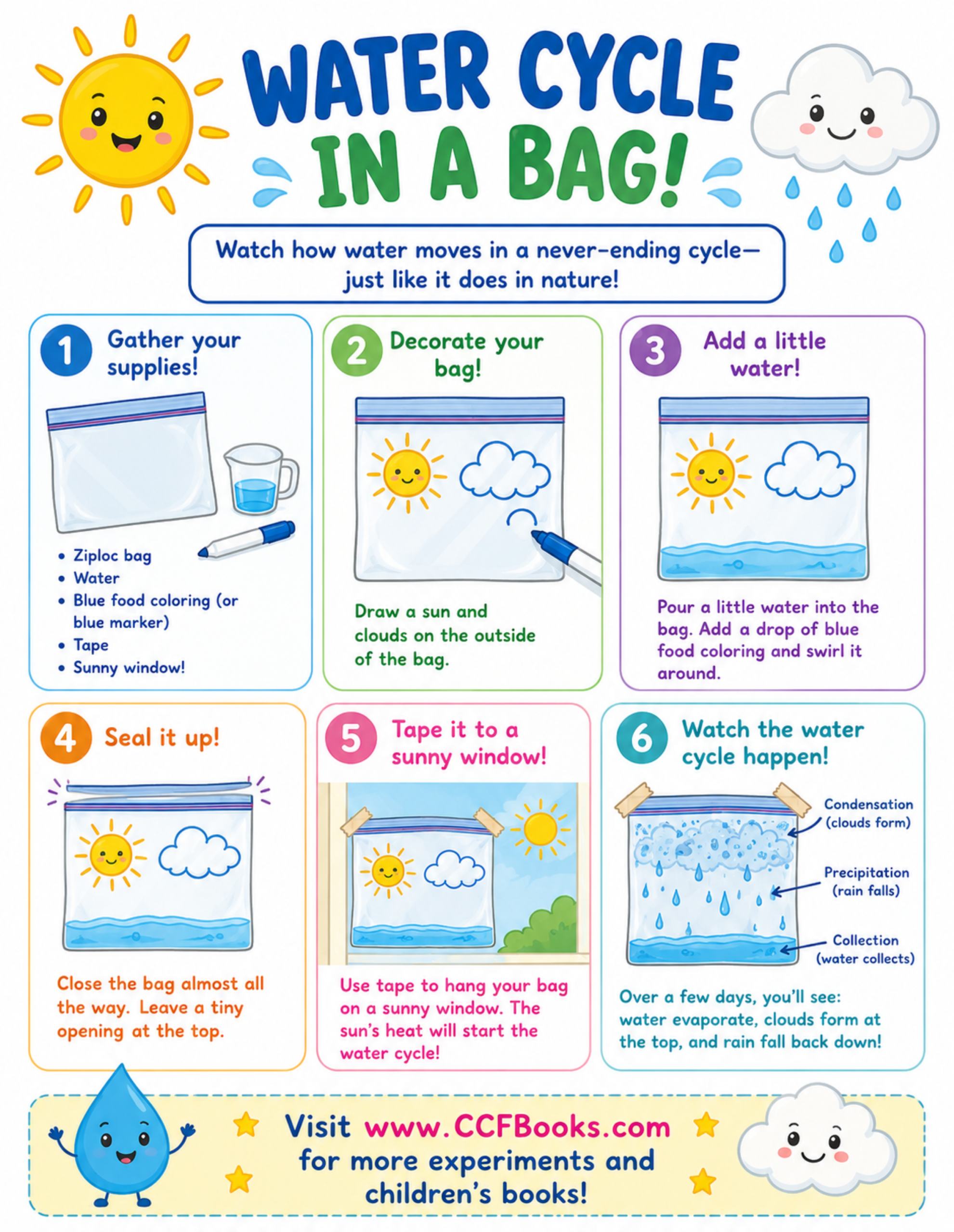 IMAGE CCF Books Water Cycle In a Bag